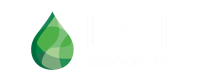 LVI-Associates_logo-(wtext)-1